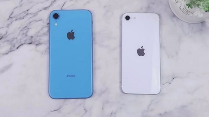 So sánh iPhone SE 2020 và iPhone Xr: nên mua máy nào