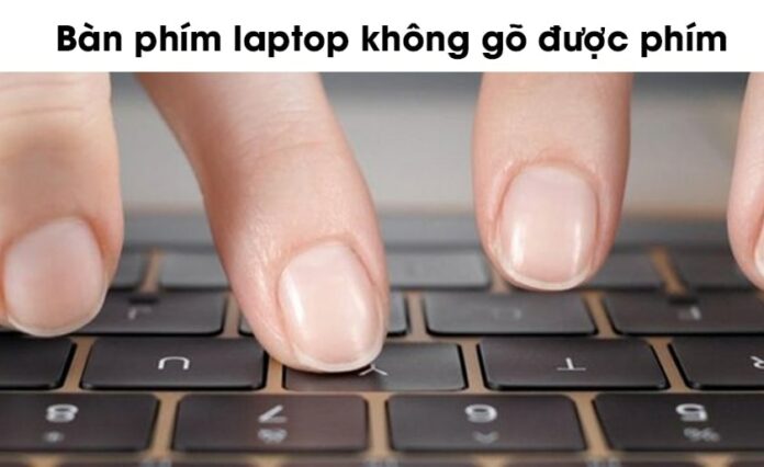 Bàn phím máy tính không gõ được chữ: Cách sửa lỗi nhanh 