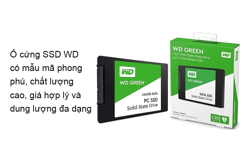 Ổ cứng SSD Western Digital: