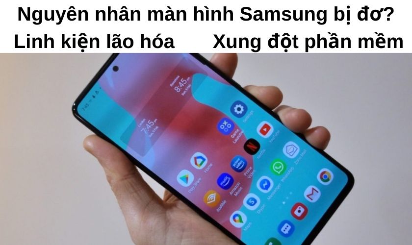 Nguyên nhân dẫn đến màn hình điện thoại Samsung bị đơ?