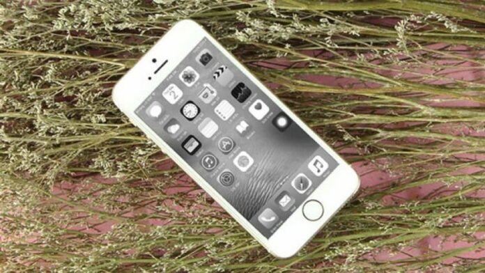 Tại sao màn hình điện thoại iPhone bị mờ và chuyển màu, mất màu