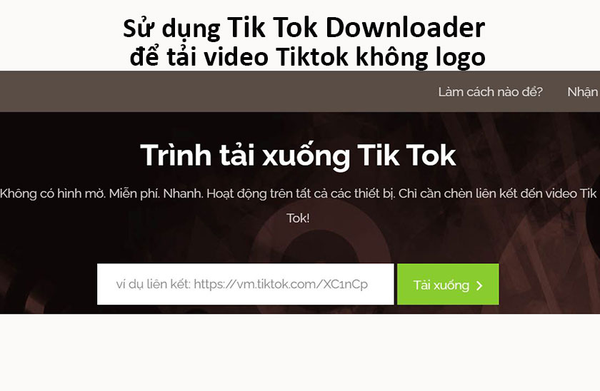 Truy cập Tik Tok Downloader