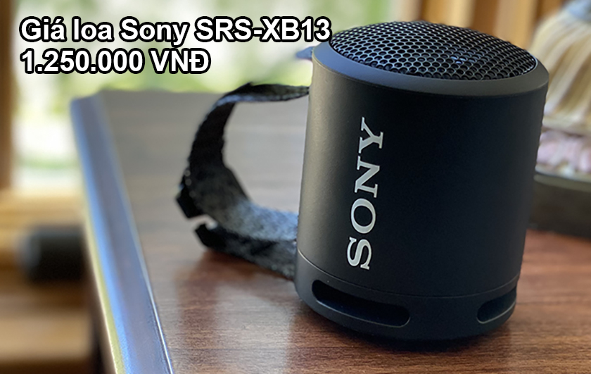 Giá loa Sony SRS-XB13 bao nhiêu tiền? Có nên mua hay không?