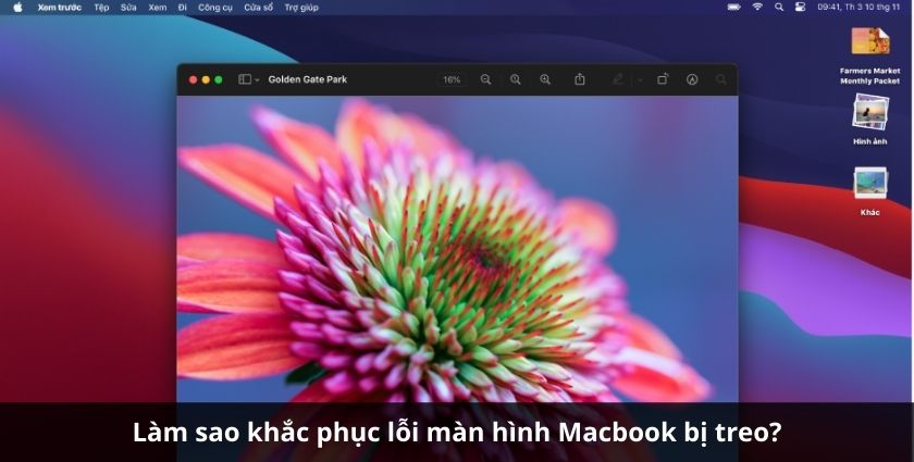 macbook bị lỗi màn hình