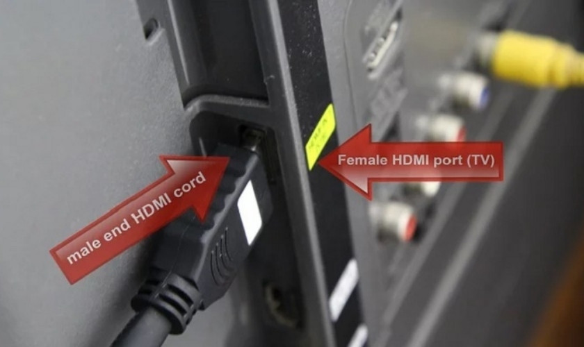 Cắm đầu HDMI/VGA vào tivi 