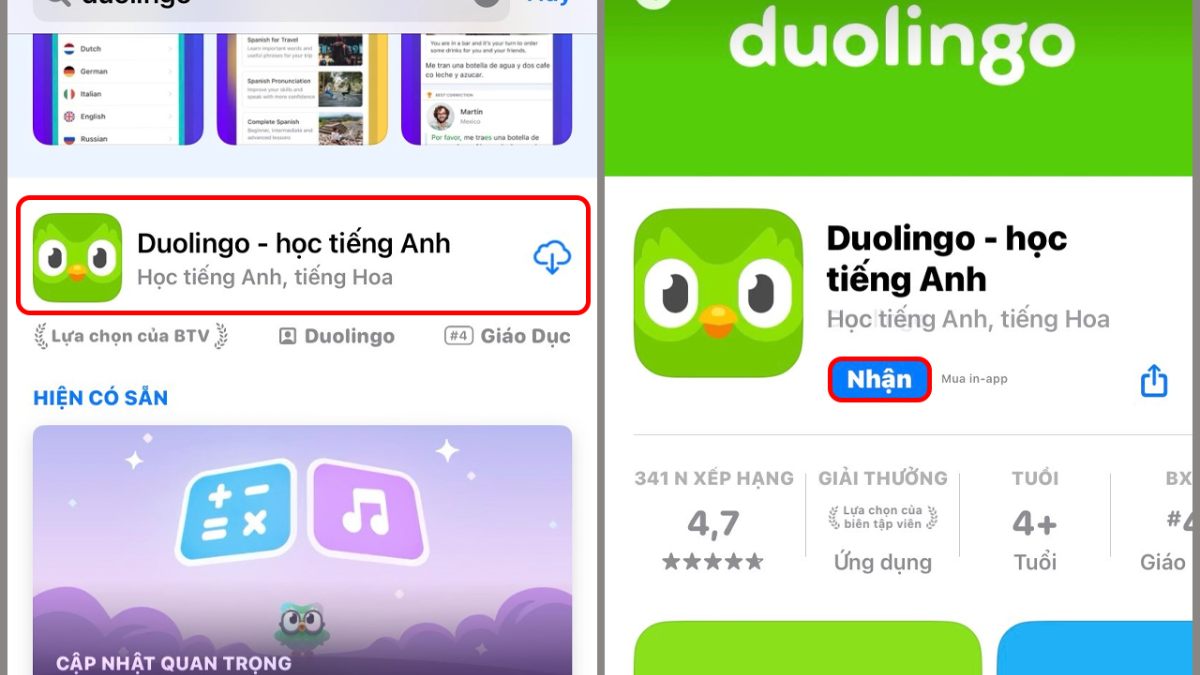 Hướng dẫn cách tải Duolingo trên điện thoại