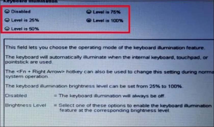 Chọn độ sáng mong muốn tại mục Keyboard Illumination