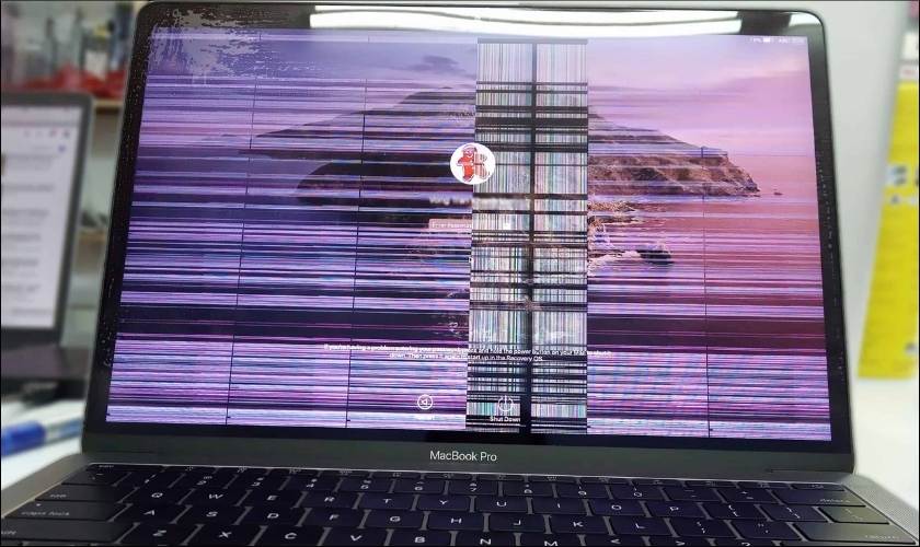Màn hình MacBook bị sọc là lỗi gì? 