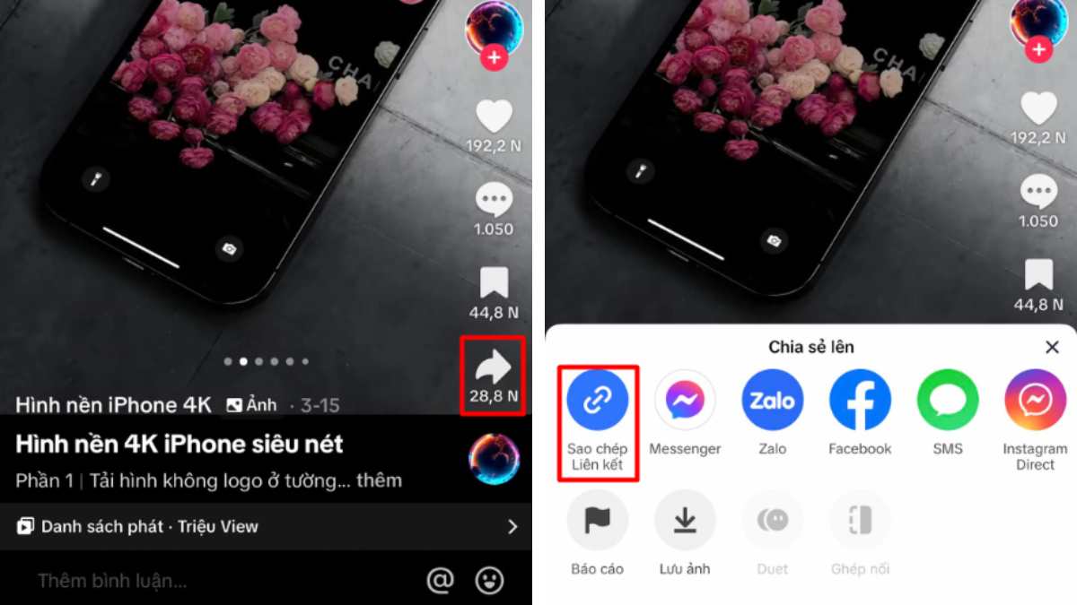 Cách tải ảnh tiktok không logo trên điện thoại bằng TikVideo.App