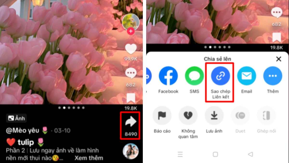 Cách sử dụng TikVideo.App cho Android